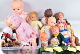 A COLLECTION OF MID 20TH CENTURY HARD PLASTIC, CELLULOID AND VINYL DOLLS, assorted styles and sizes,
