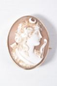 A CAMEO BROOCH, a shell cameo depicting a lady in profile, collet set in yellow metal, approximate