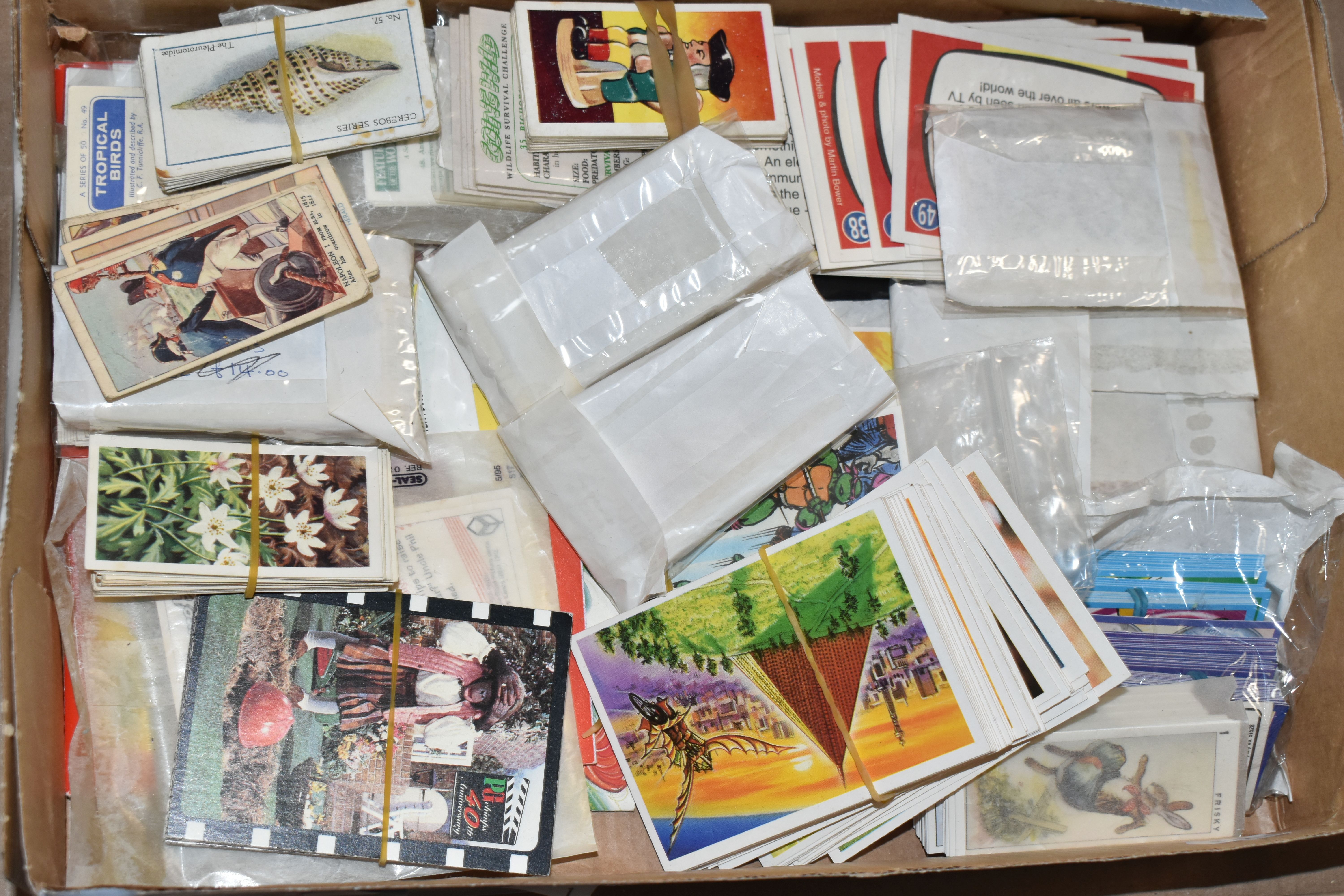 ONE BOX OF CIGARETTE CARDS in Albums and Loose containing a large collection of full, part sets - Image 2 of 17