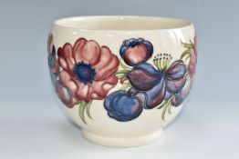 A LARGE MOORCROFT POTTERY JARDINIERE, decorated with purple and puce 'Anemone' design on a cream