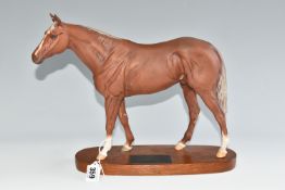 A BESWICK GRUNDY - RACEHORSE OF THE YEAR 1975 FIGURE, no 2558, from the Connoisseur Horses series,