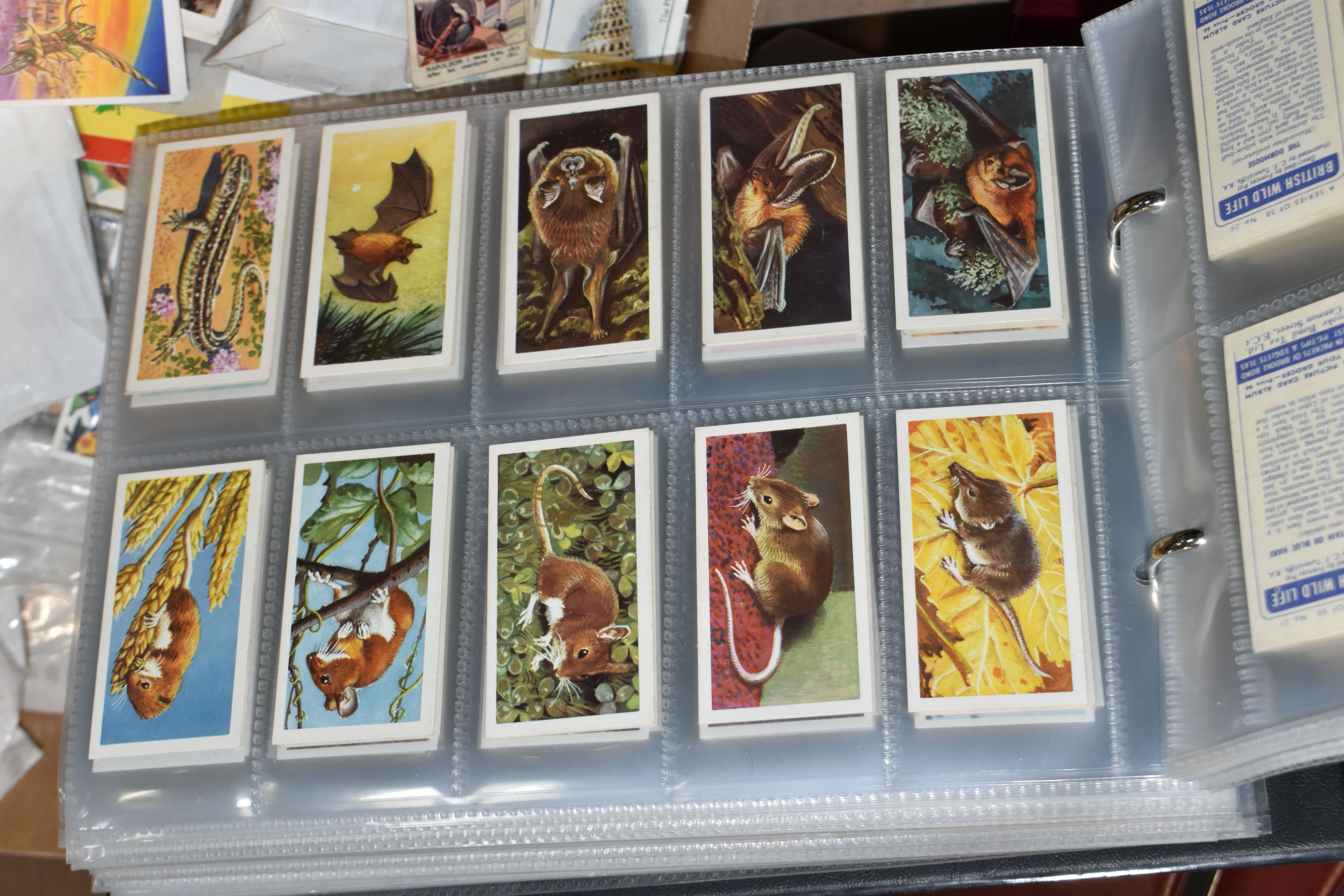 ONE BOX OF CIGARETTE CARDS in Albums and Loose containing a large collection of full, part sets - Image 11 of 17