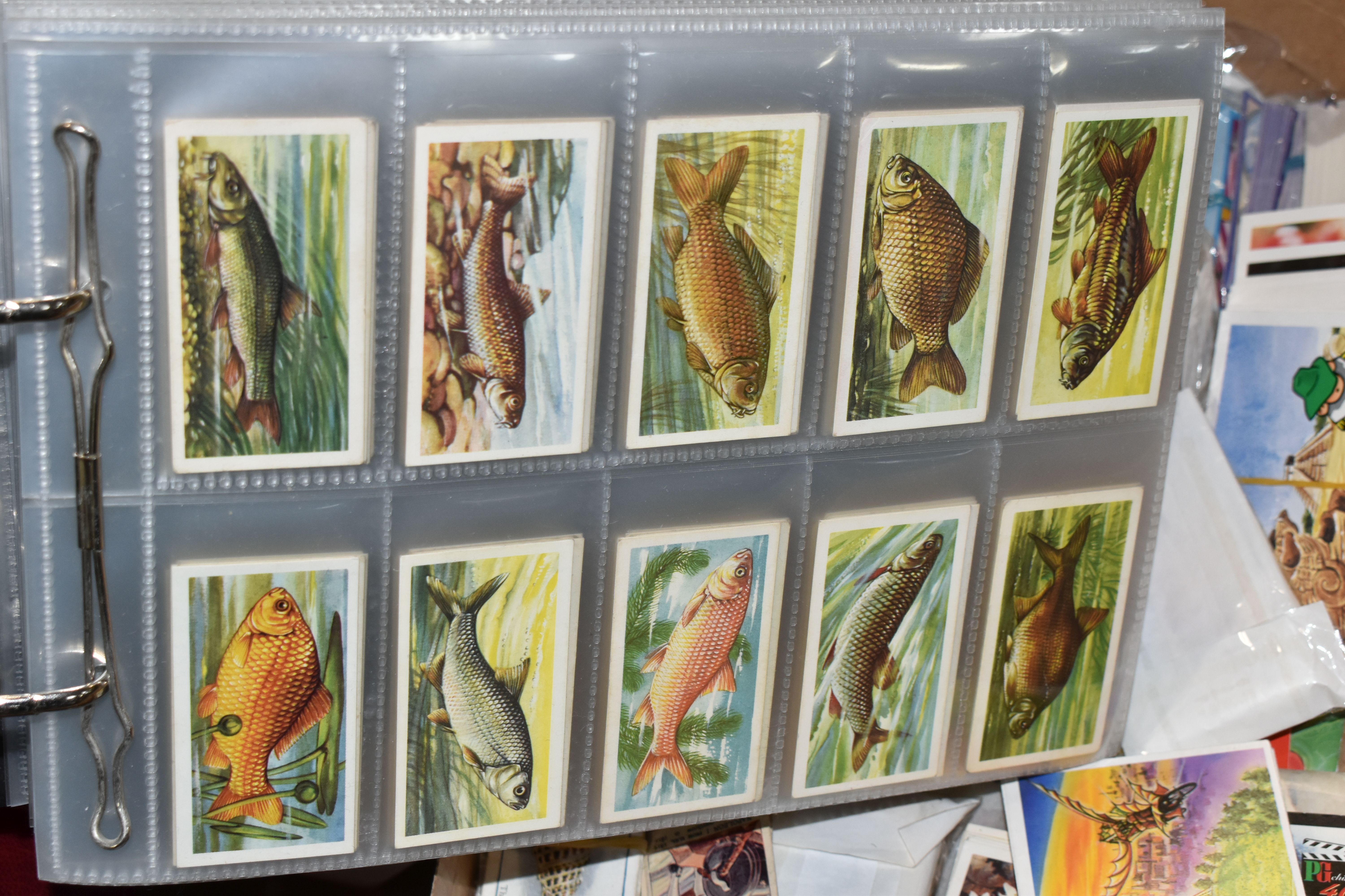 ONE BOX OF CIGARETTE CARDS in Albums and Loose containing a large collection of full, part sets - Image 10 of 17