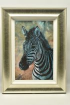 ROLF HARRIS (AUSTRALIA 1930-2023) 'YOUNG ZEBRA' a signed limited edition print on board, 40/195 with