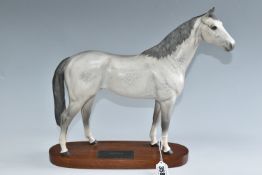 A BESWICK HUNTER FIGURE, no 1734, from the Connoisseur Horses series, the horse in grey finish, on