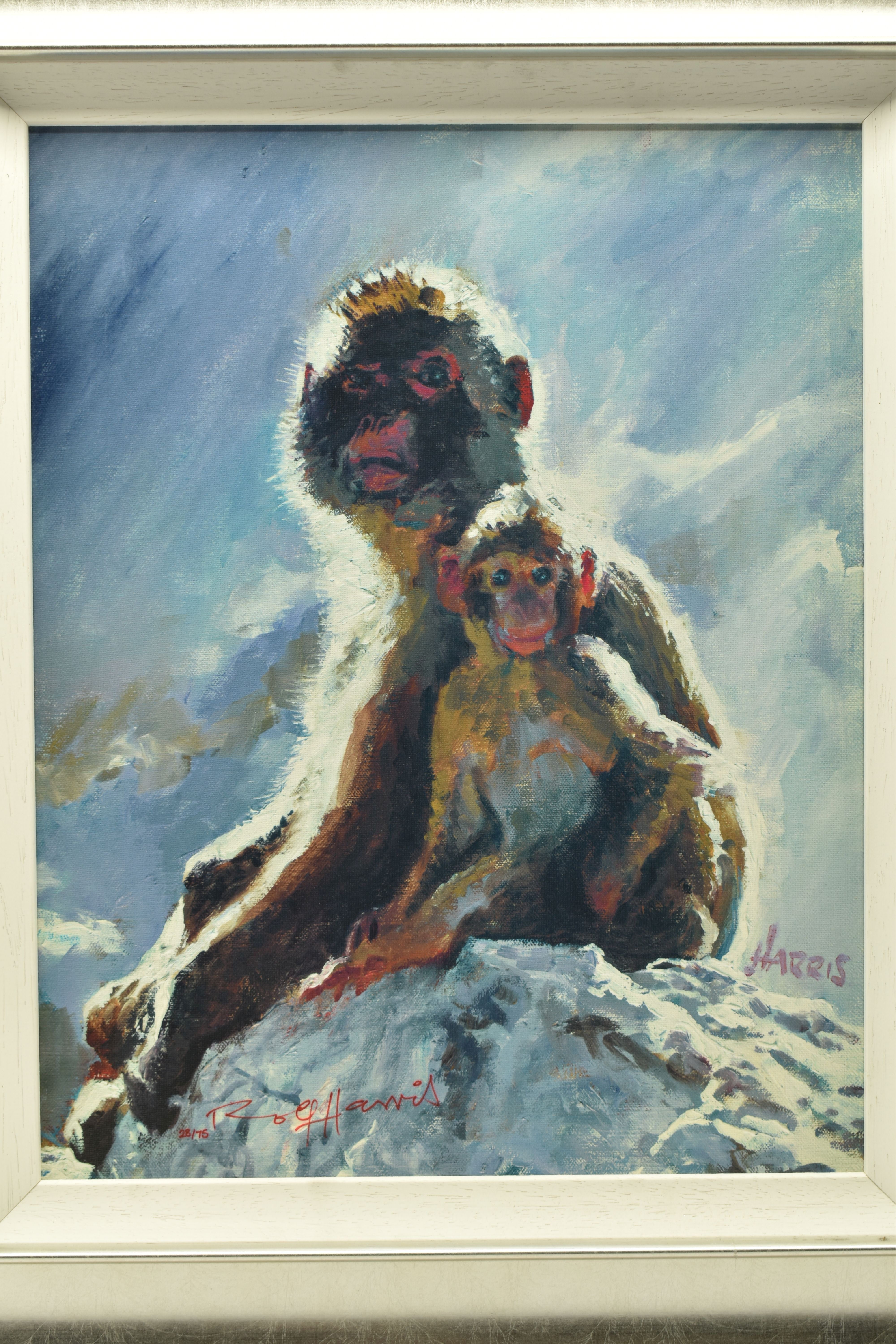 ROLF HARRIS (AUSTRALIA 1930-2023) 'BACKLIT BABOONS - GIBRALTAR', a signed limited edition print on - Image 2 of 9