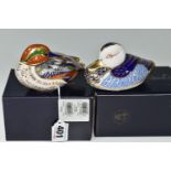 TWO BOXED ROYAL CROWN DERBY PAPERWEIGHTS, comprising Teal and Duck, each with gold stopper, red