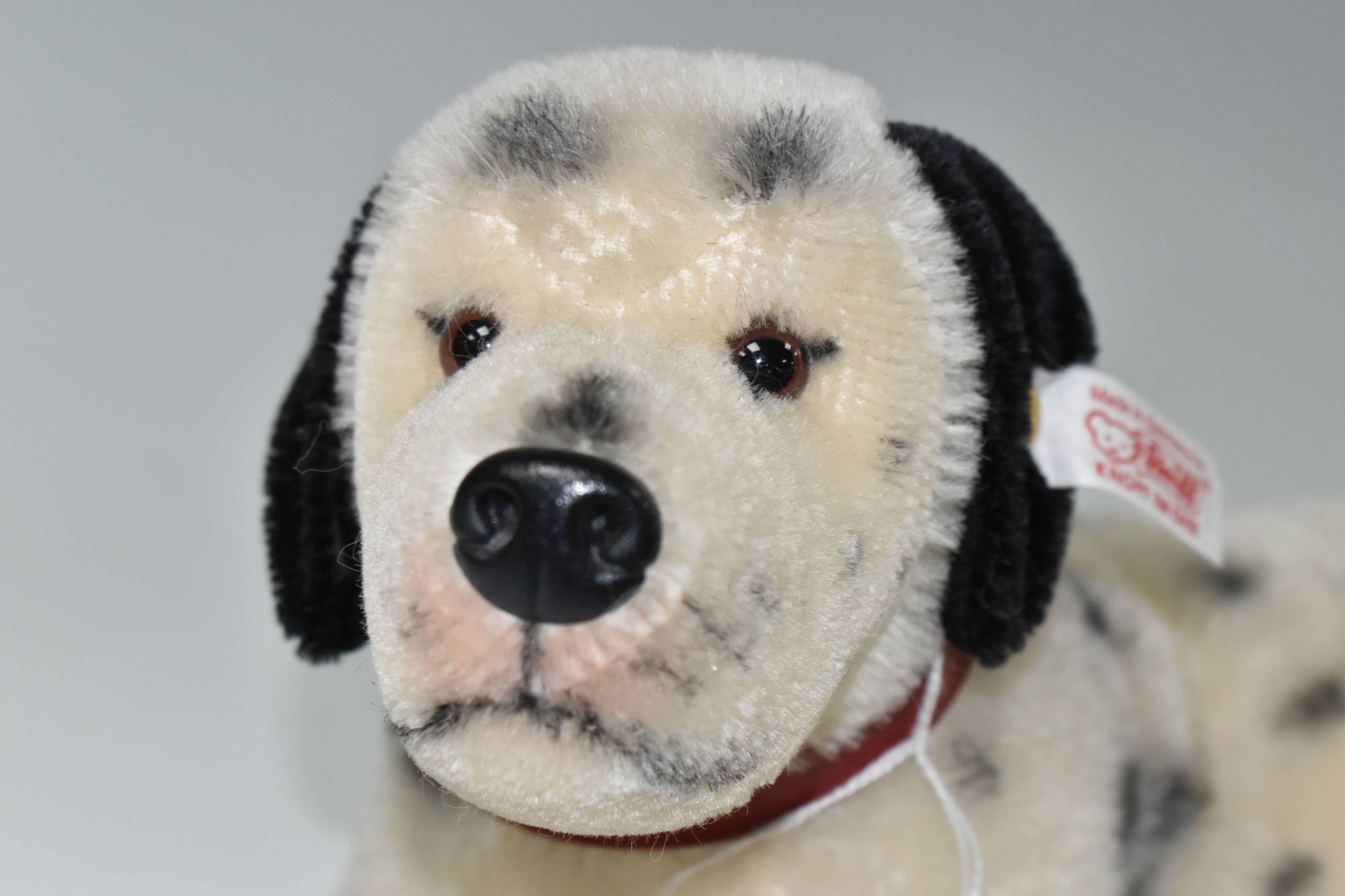 AN UNBOXED MODERN STEIFF LIMITED EDITION MOHAIR DALMATIAN DOG, No.038600, limited edition No.0630 of - Image 5 of 5