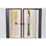 TWO CASED 'RAADVAD' DANISH TEA KNIVES, with guilloche enamel detail, approximate length 116mm,