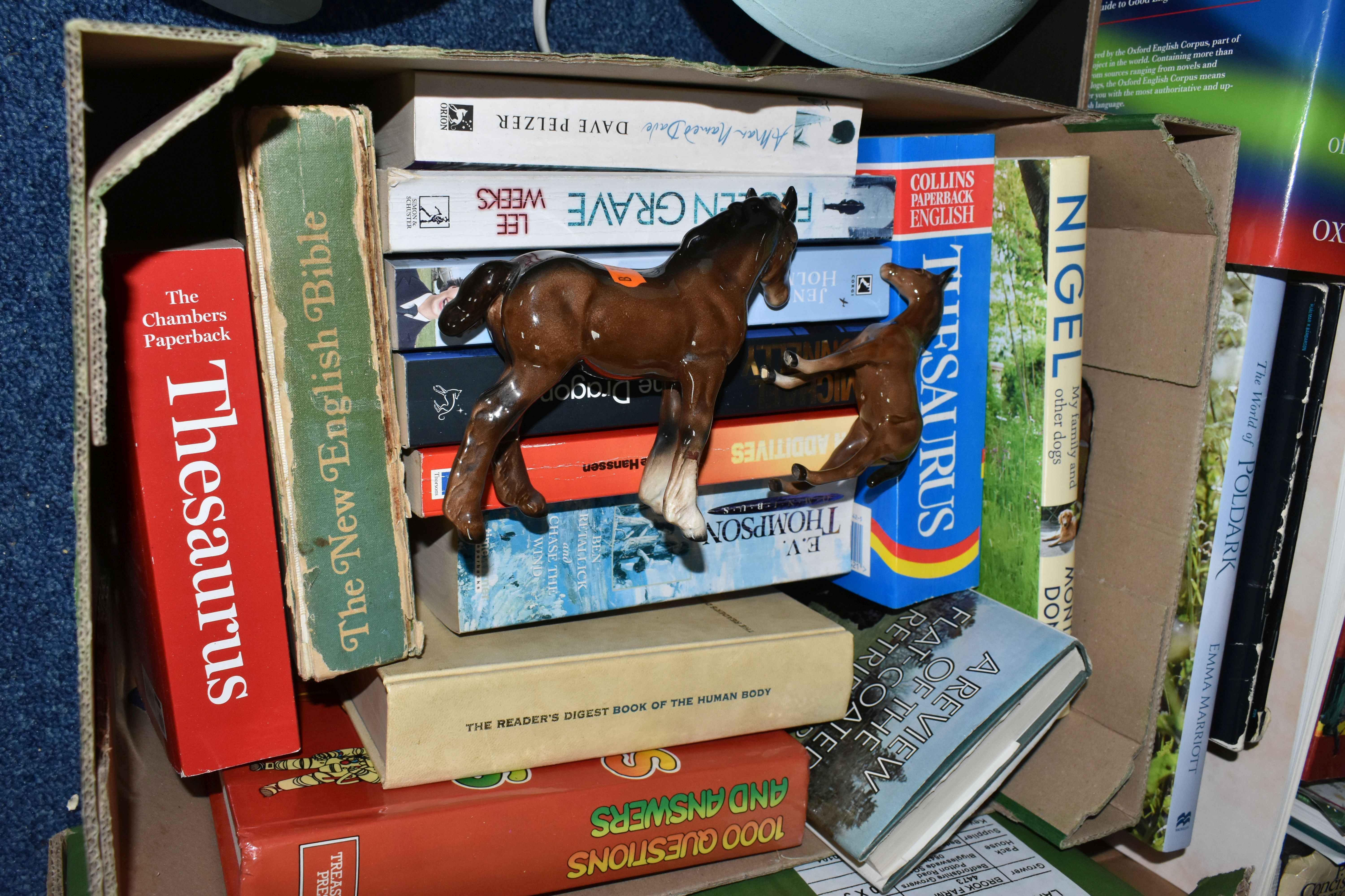 FOUR BOXES INCLUDING A VARIETY OF BOOKS OF ASSORTED GENRES AND MISCELLANEOUS ITEMS ETC, Carnival - Image 3 of 8