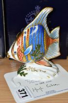 A BOXED ROYAL CROWN DERBY LIMITED EDITION 'PACIFIC ANGEL FISH' PAPERWEIGHT, with certificate