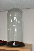 A VICTORIAN GLASS DOME AND TWO WOODEN BASES, comprising glass dome, height approximately 47cm not