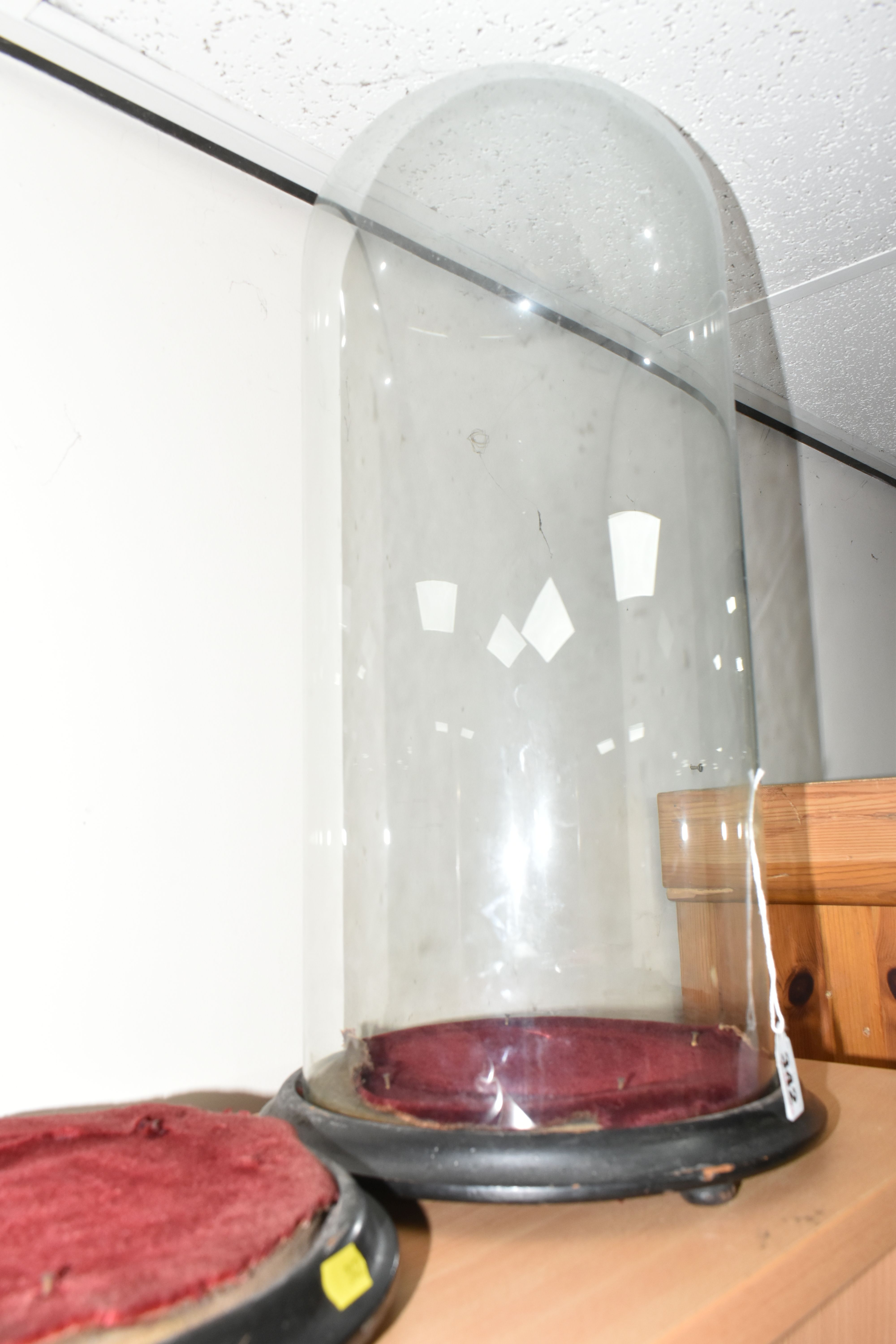 A VICTORIAN GLASS DOME AND TWO WOODEN BASES, comprising glass dome, height approximately 47cm not - Image 3 of 3