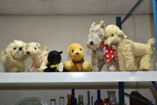 A QUANTITY OF ASSORTED MID 20TH CENTURY SOFT TOY DOGS AND A CAT, one of the dogs has a Norah