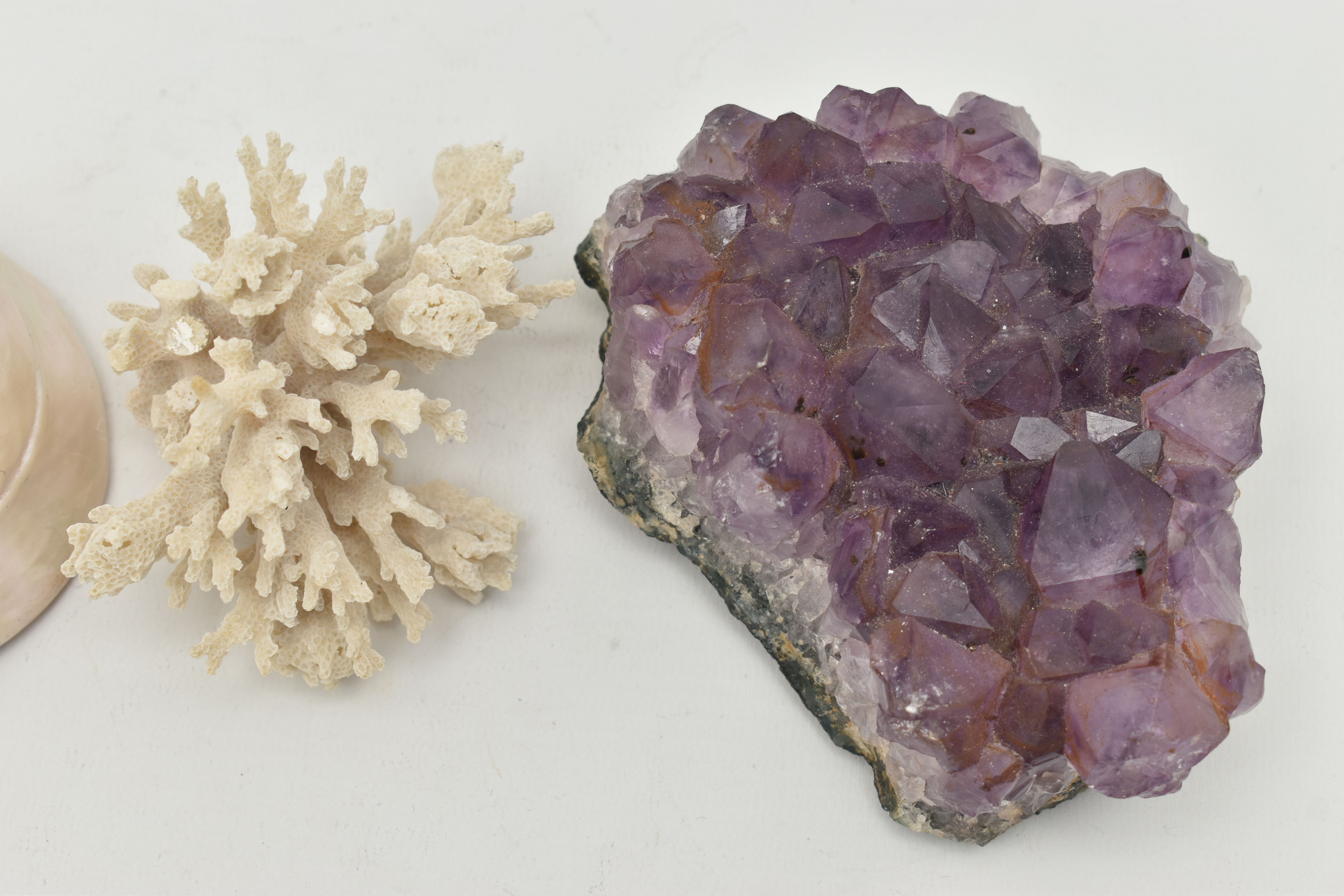 THREE NATURAL SPECIMENS, to include an amethyst crystal specimen, a white coral specimen and a - Image 3 of 4