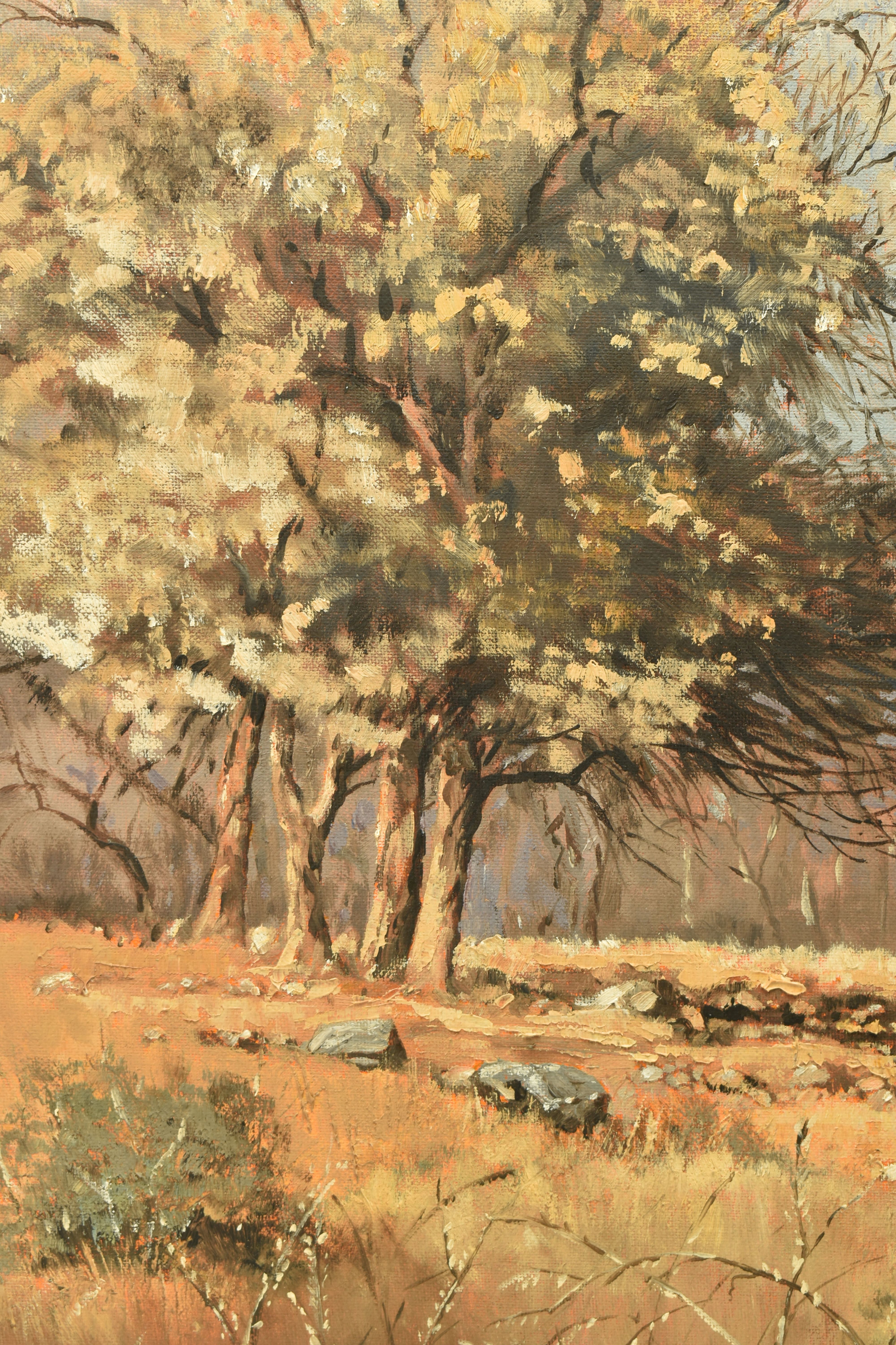 TED HOEFSLOOT (1930-2013) 'LOW VELD SCENE', a South African landscape with distant mountains, signed - Image 4 of 8