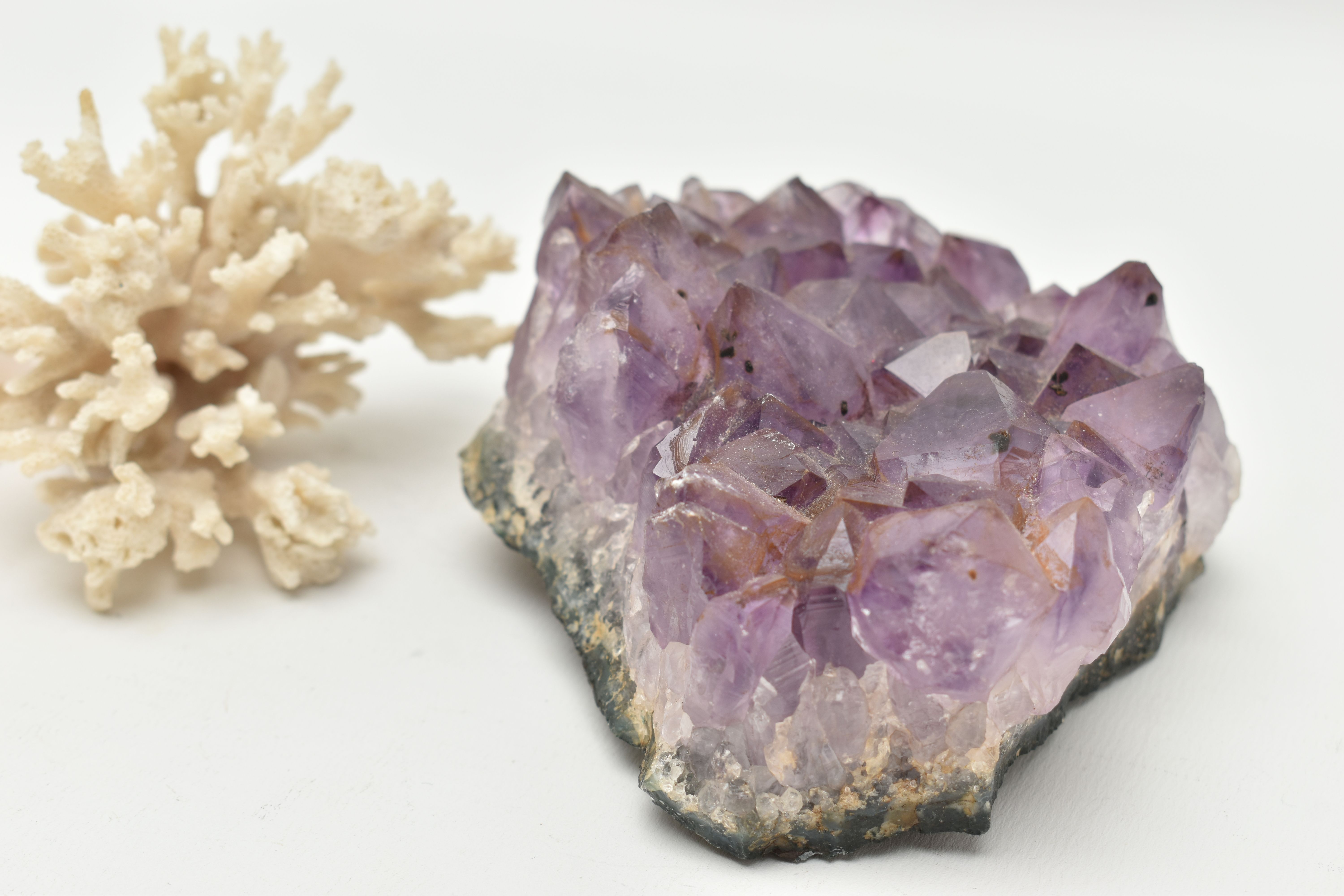 THREE NATURAL SPECIMENS, to include an amethyst crystal specimen, a white coral specimen and a - Image 4 of 4