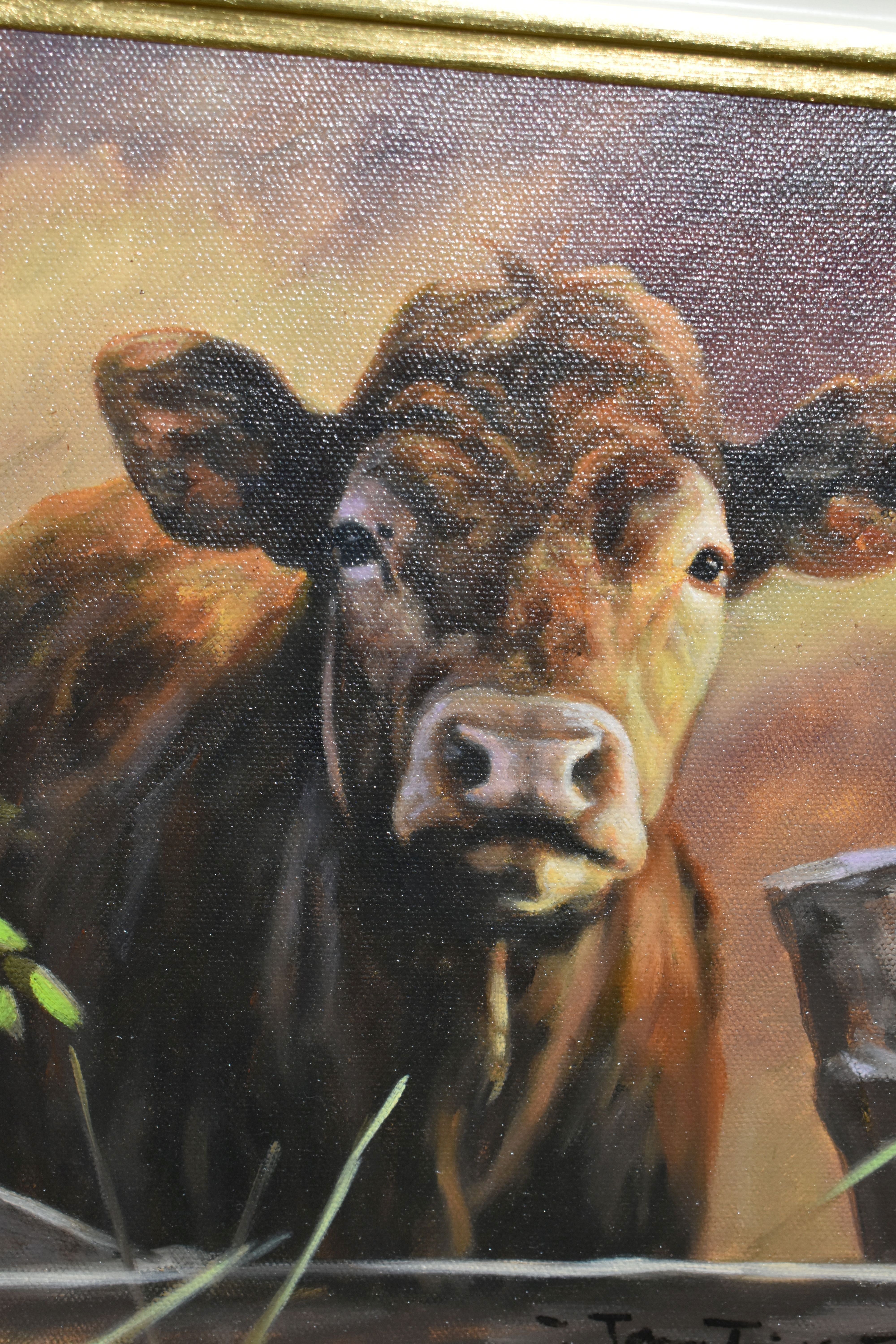 JOHN TRICKETT (BRITISH 1951) PORTRAIT OF A BROWN COW, signed bottom right, oil on canvas, - Image 3 of 3