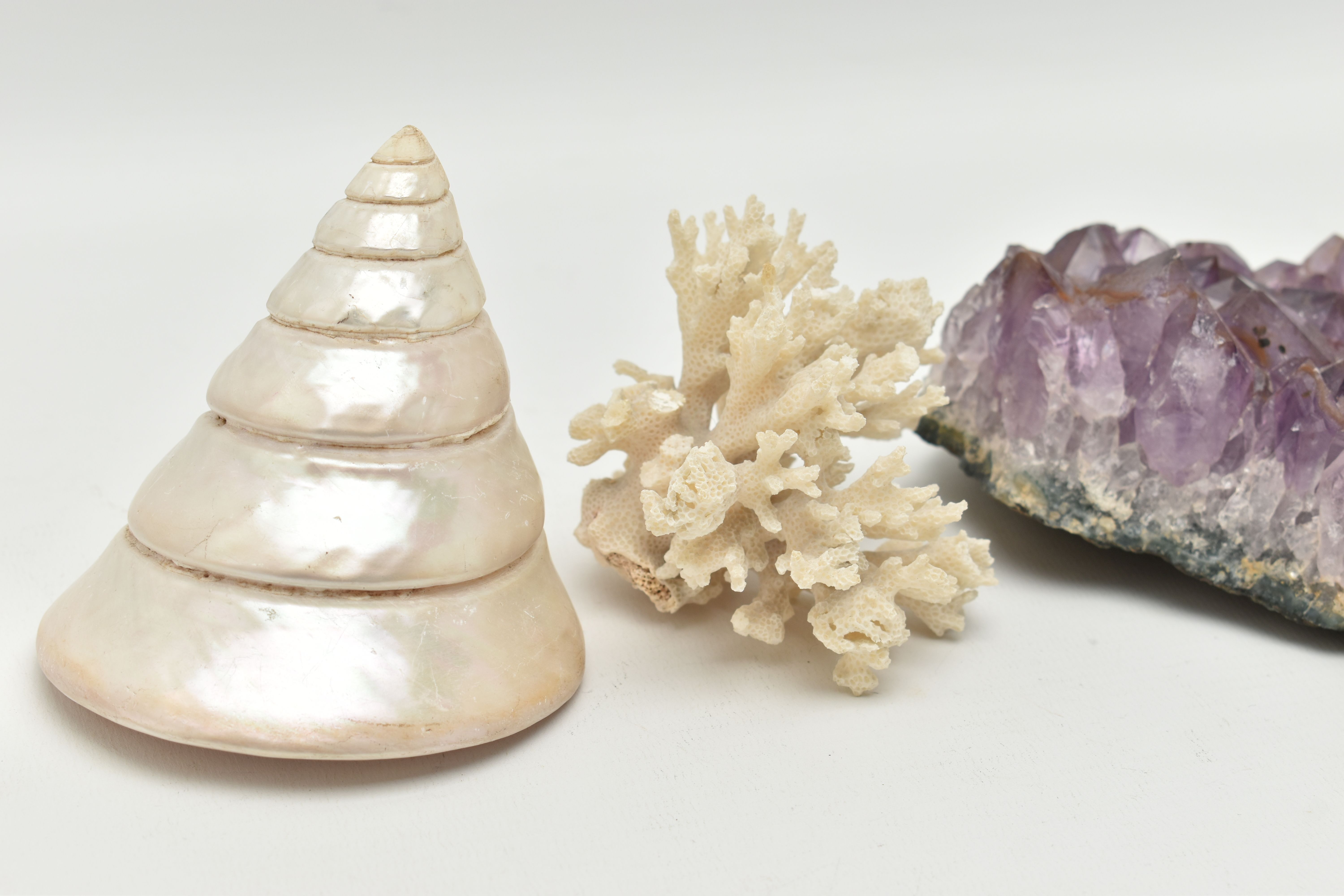 THREE NATURAL SPECIMENS, to include an amethyst crystal specimen, a white coral specimen and a - Image 2 of 4