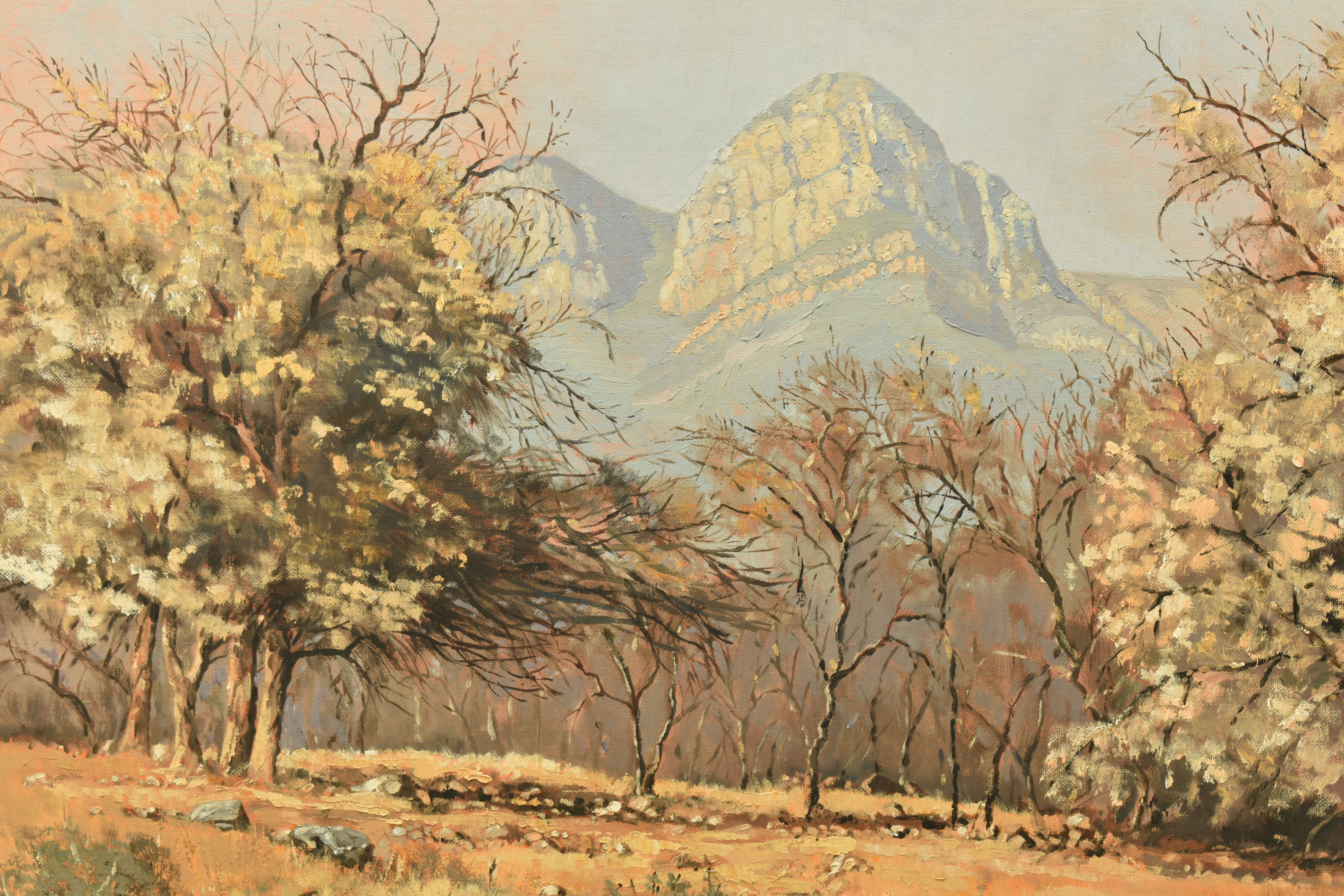 TED HOEFSLOOT (1930-2013) 'LOW VELD SCENE', a South African landscape with distant mountains, signed - Image 2 of 8