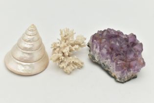 THREE NATURAL SPECIMENS, to include an amethyst crystal specimen, a white coral specimen and a