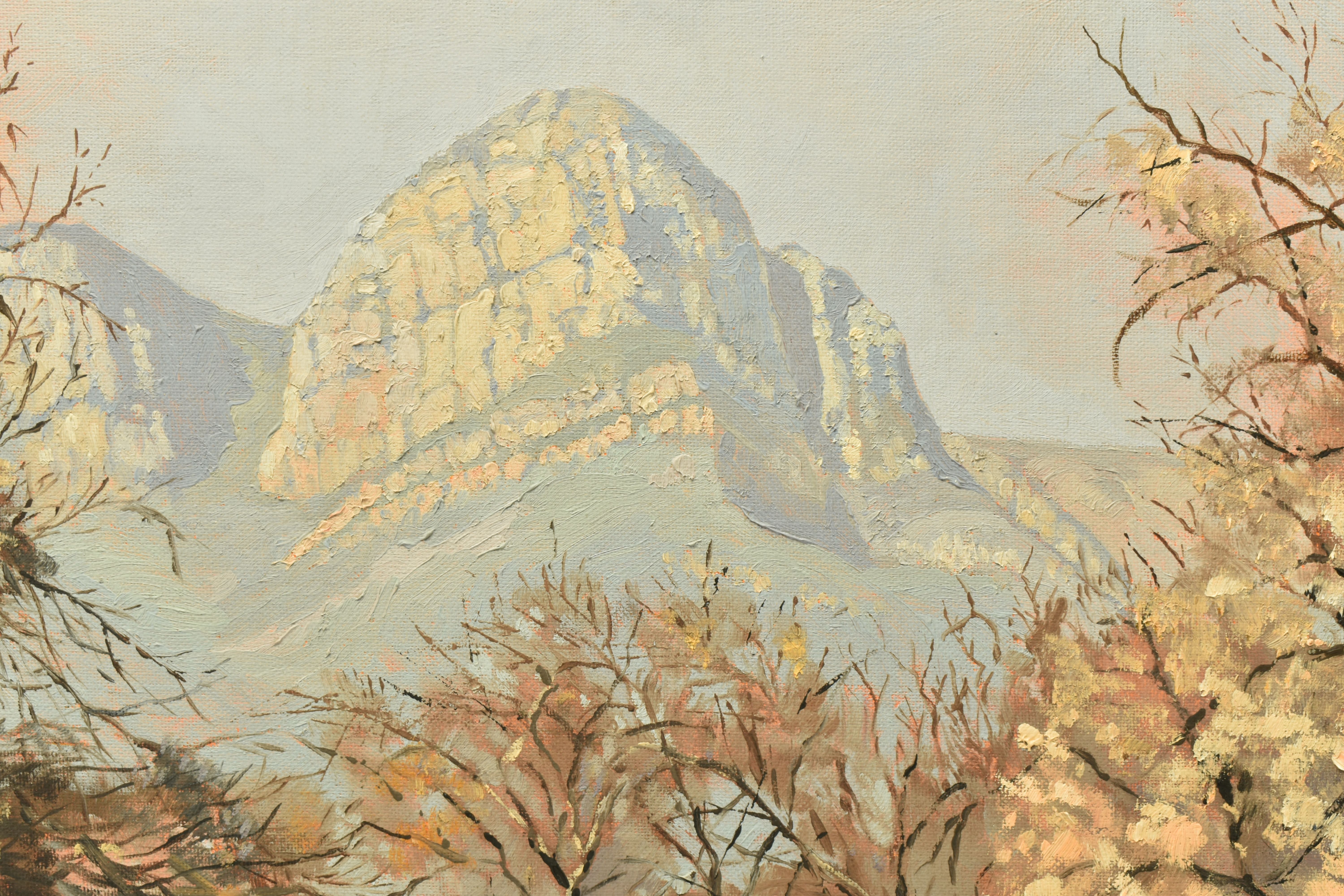 TED HOEFSLOOT (1930-2013) 'LOW VELD SCENE', a South African landscape with distant mountains, signed - Image 3 of 8