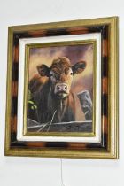 JOHN TRICKETT (BRITISH 1951) PORTRAIT OF A BROWN COW, signed bottom right, oil on canvas,