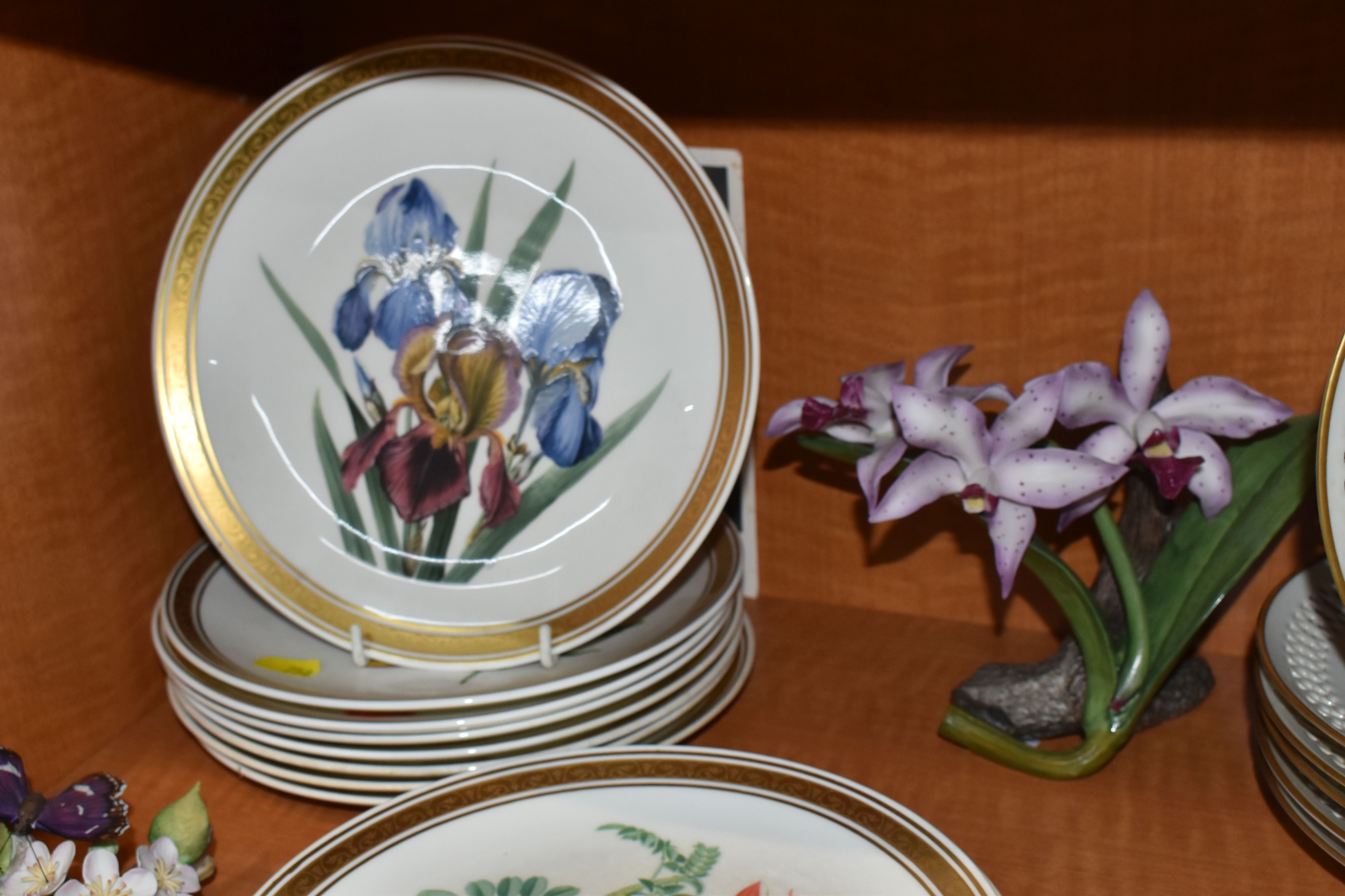 TWO SETS OF TWELVE BOTANICAL COLLECTORS PLATES BY FRANKLIN PORCELAIN AND BING & GRONDAHL FOR DANBURY - Image 4 of 10