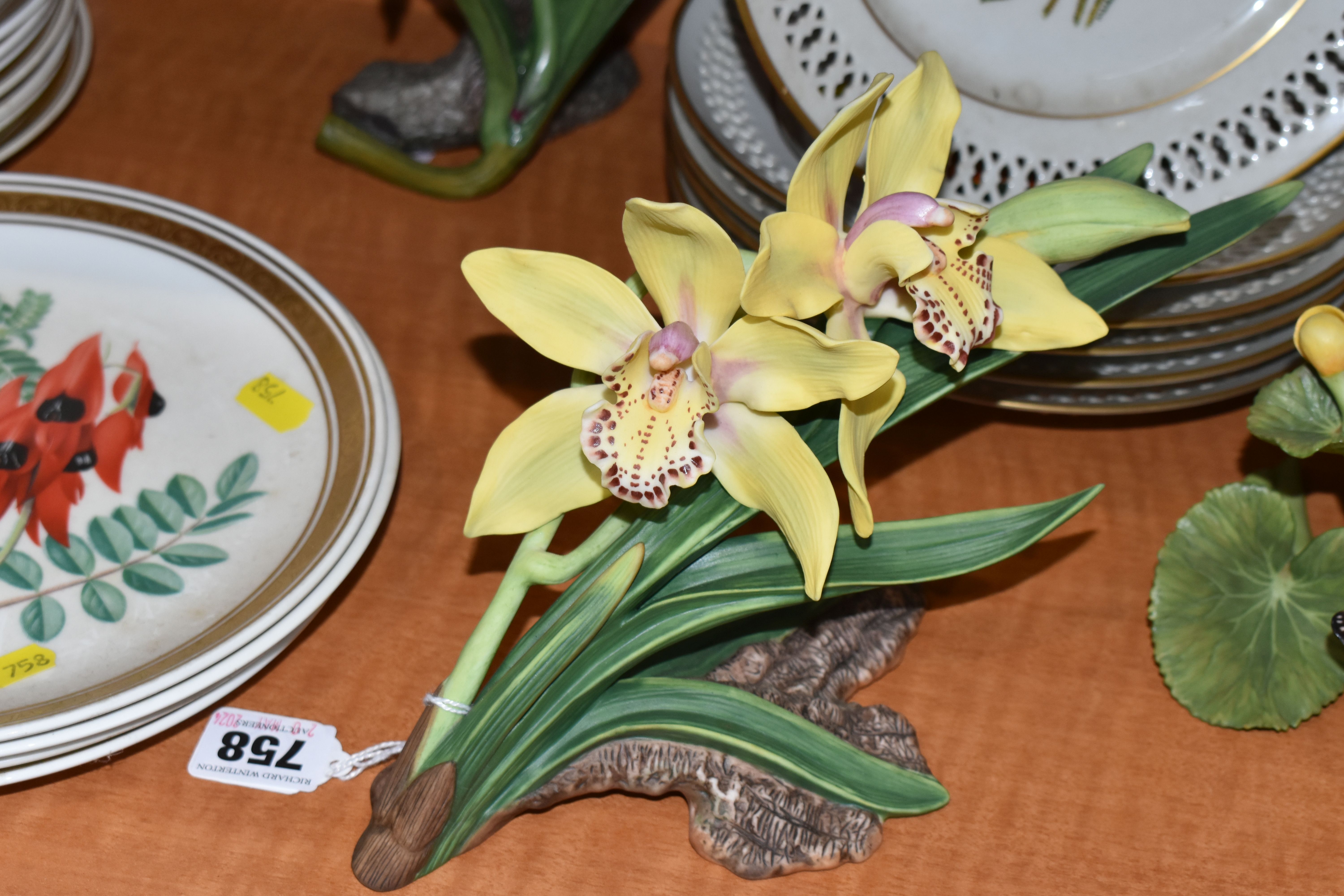 TWO SETS OF TWELVE BOTANICAL COLLECTORS PLATES BY FRANKLIN PORCELAIN AND BING & GRONDAHL FOR DANBURY - Image 10 of 10