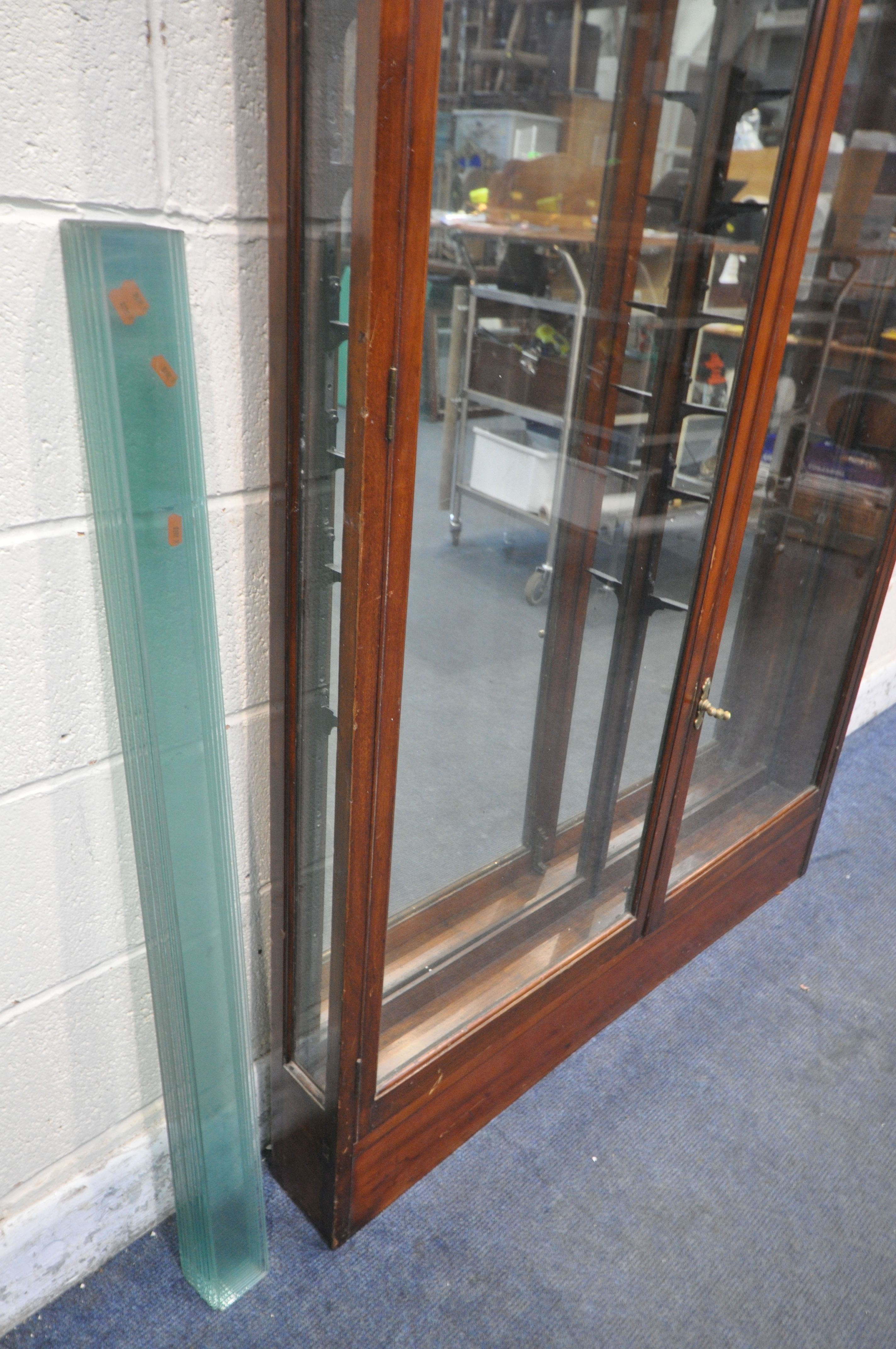 AN EARLY 20TH CENTURY NARROW MAHOGANY GLAZED TWO DOOR COLLECTORS DISPLAY CABINET, enclosing ten - Image 3 of 3