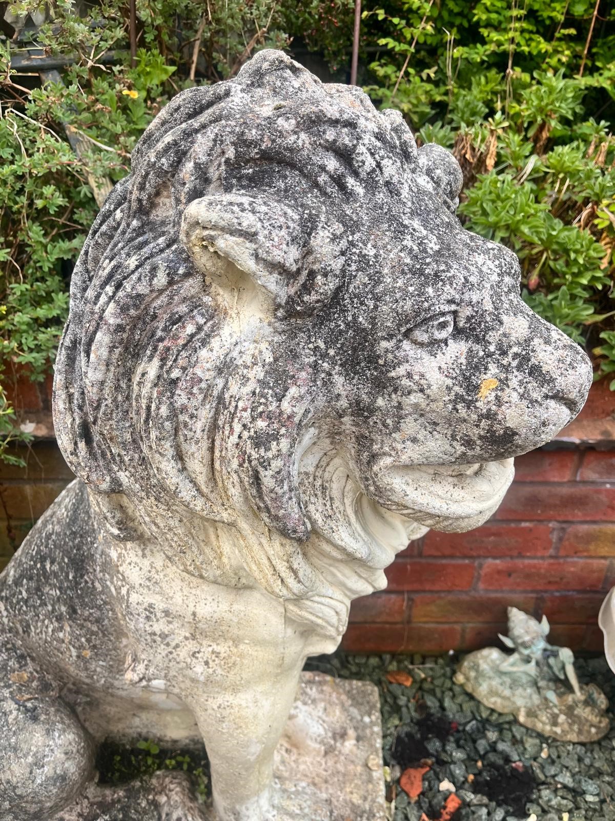 A PAIR OF WEATHERED COMPOSITE SEATED GARDEN LIONS, on a square plinth base, width 35cm x depth - Image 3 of 10