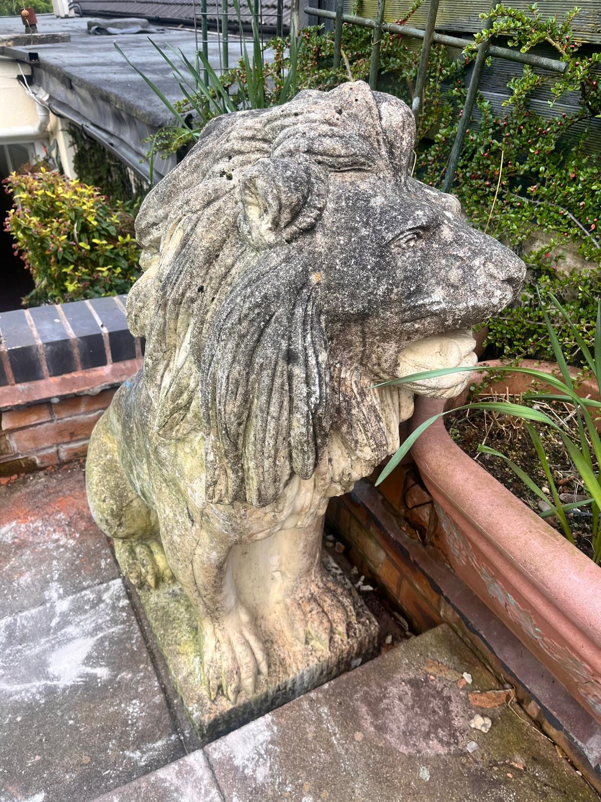 A PAIR OF WEATHERED COMPOSITE SEATED GARDEN LIONS, on a square plinth base, width 35cm x depth - Image 6 of 10
