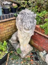 A PAIR OF WEATHERED COMPOSITE SEATED GARDEN LIONS, on a square plinth base, width 35cm x depth