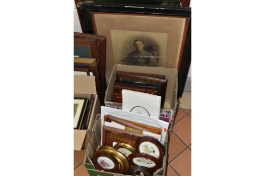 A QUANTITY OF PICTURES AND PRINTS ETC, to include framed illustrations of botanical subjects, scenes - Image 5 of 5