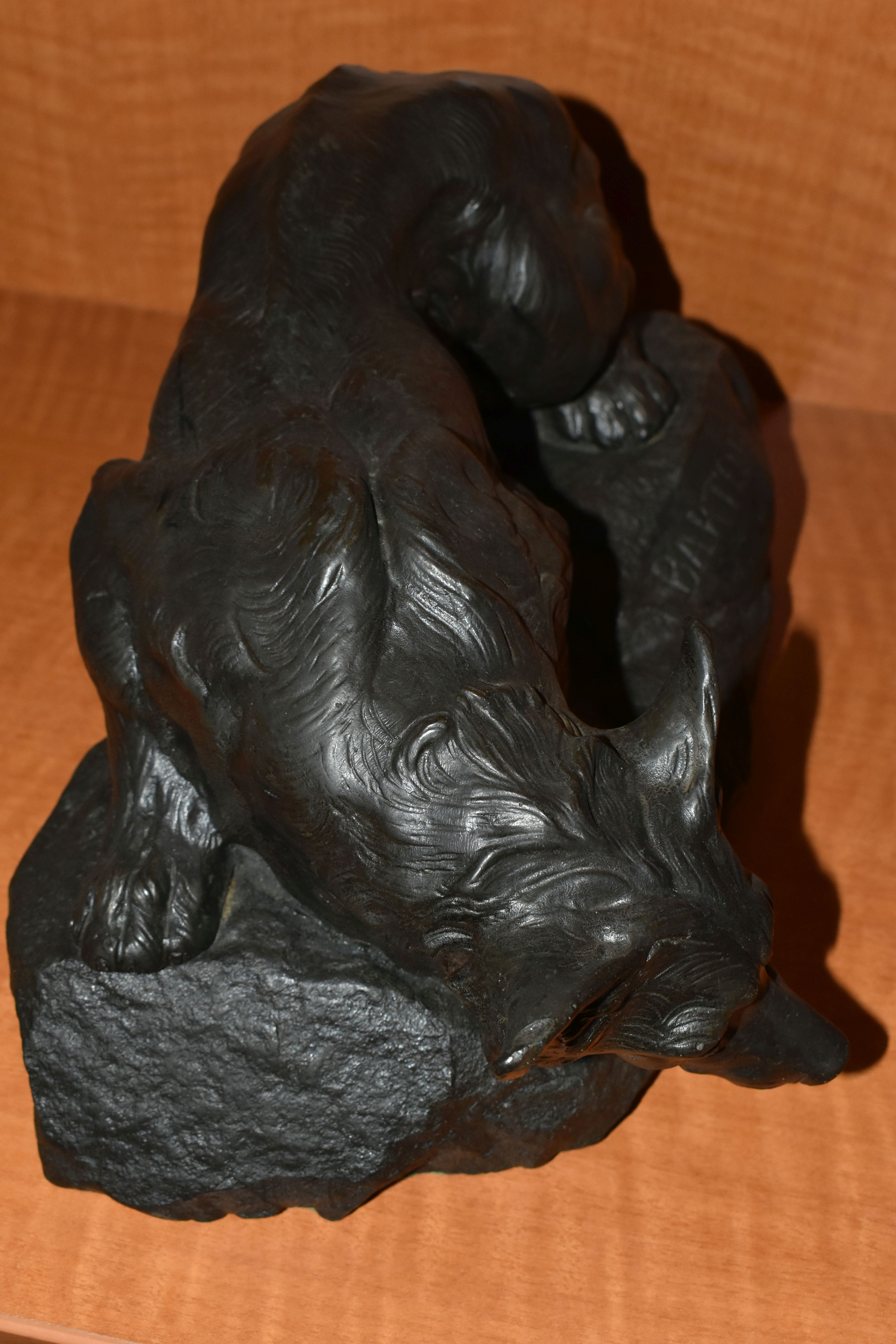 A BRONZED RESIN SCULPTURE OF A CROUCHING FOX, AFTER BARTELIER, cast on a naturalistic base, height - Bild 8 aus 9