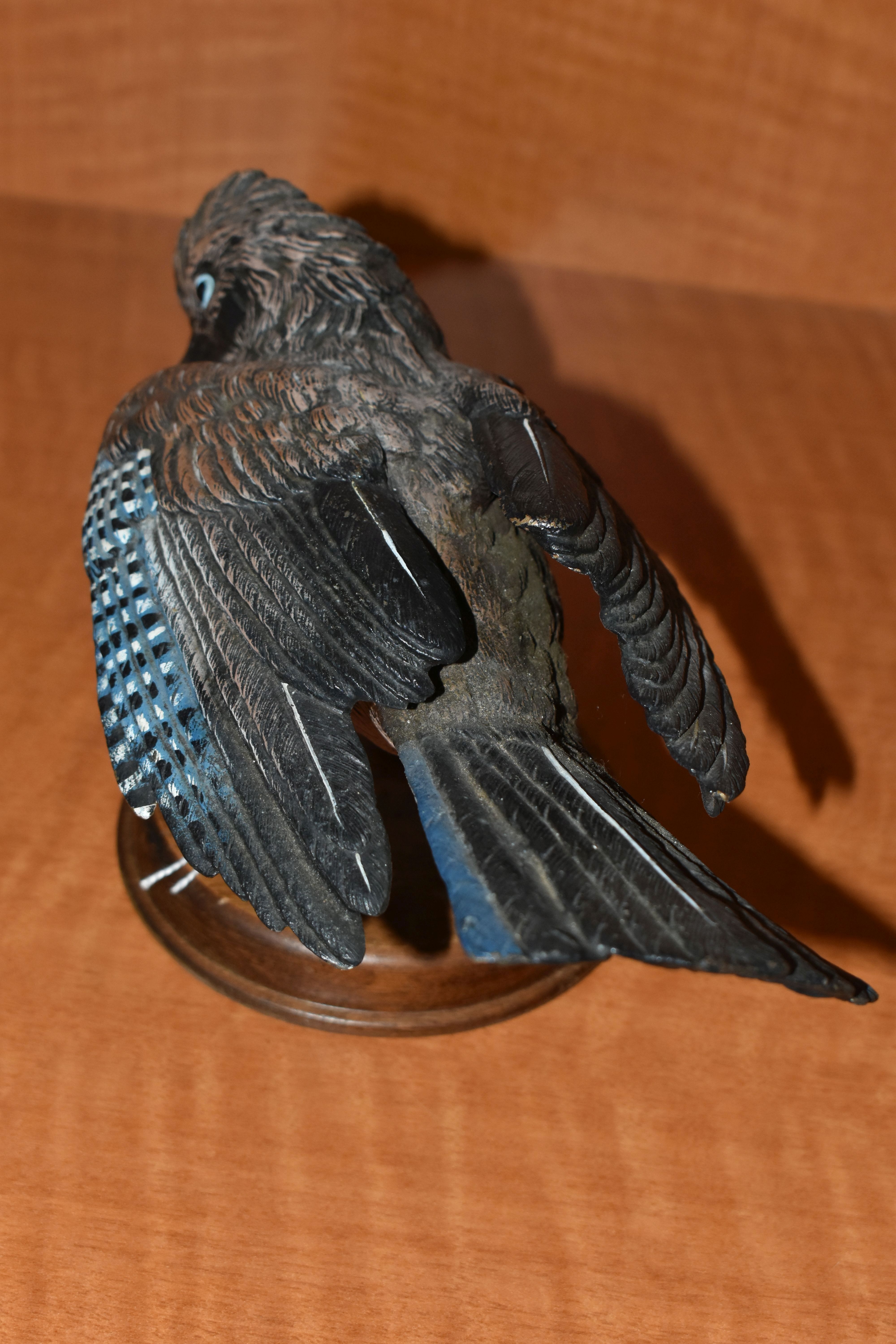 A MODERN COLD PAINTED BRONZE NEAR LIFE SIZE MODEL OF A JAY, with wings partly splayed and head - Bild 5 aus 6
