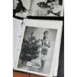 PHOTOGRAPH / AUTOGRAPH ALBUMS, Two Albums containing 155 photographs, photocards and letters, all of