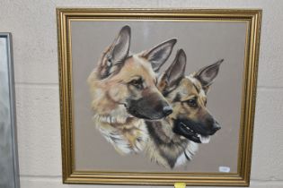 SUE WARNER (CONTEMPORARY) ALSATIANS, portraits of two Alsatians, initialled and dated 1986 bottom