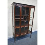 AN EARLY 20TH CENTURY MAHOGANY SINGLE DOOR DISPLAY CABINET, enclosing three shelves, on square