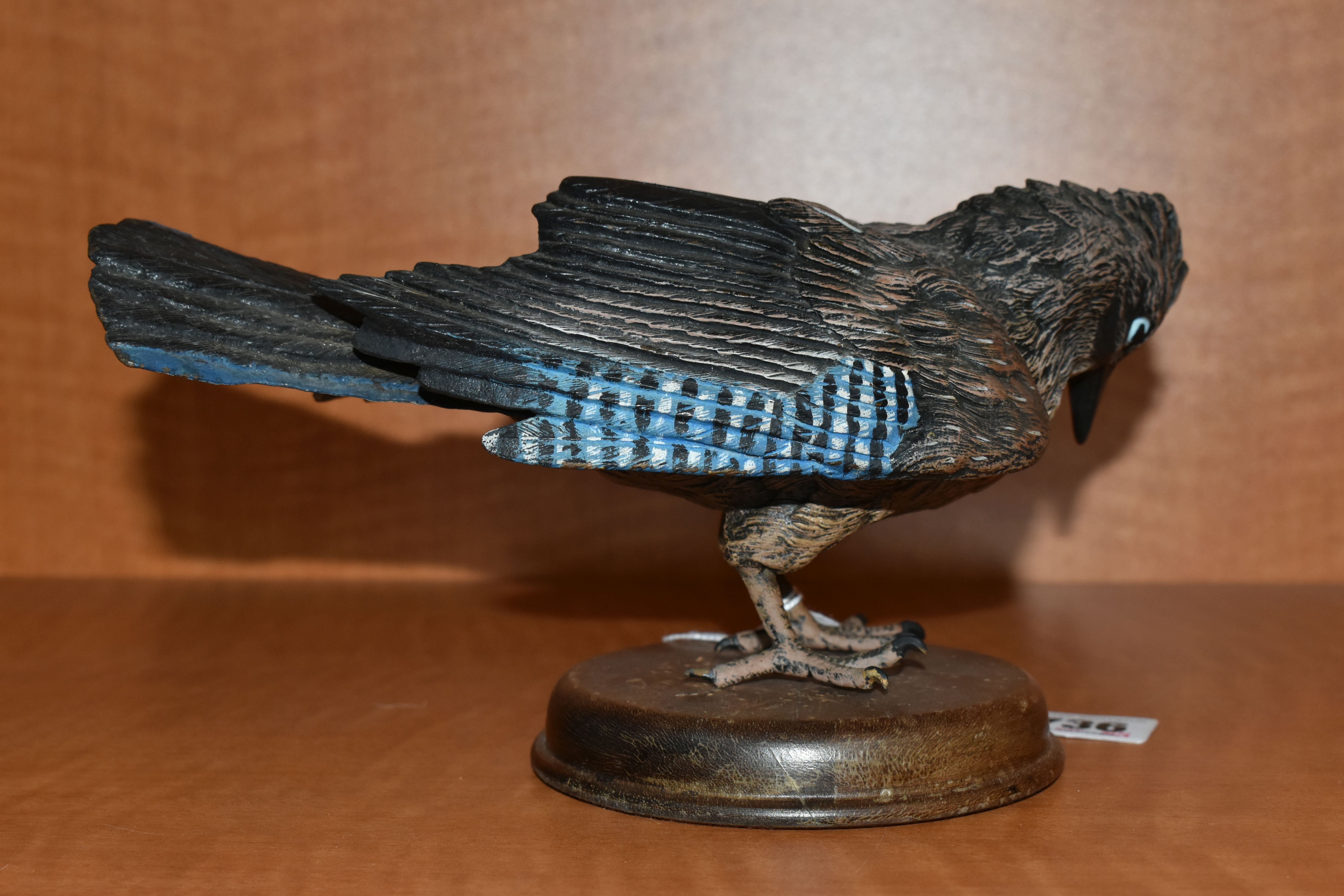 A MODERN COLD PAINTED BRONZE NEAR LIFE SIZE MODEL OF A JAY, with wings partly splayed and head - Bild 4 aus 6