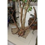 A MOUNTED SET OF RED DEER ANTLERS, mounted on a natural wooden setting, ten points attached to