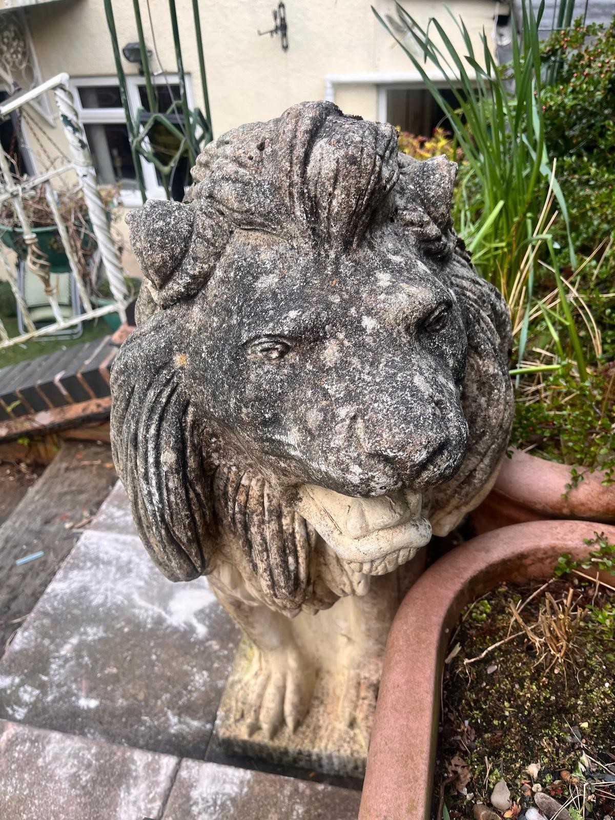 A PAIR OF WEATHERED COMPOSITE SEATED GARDEN LIONS, on a square plinth base, width 35cm x depth - Image 8 of 10