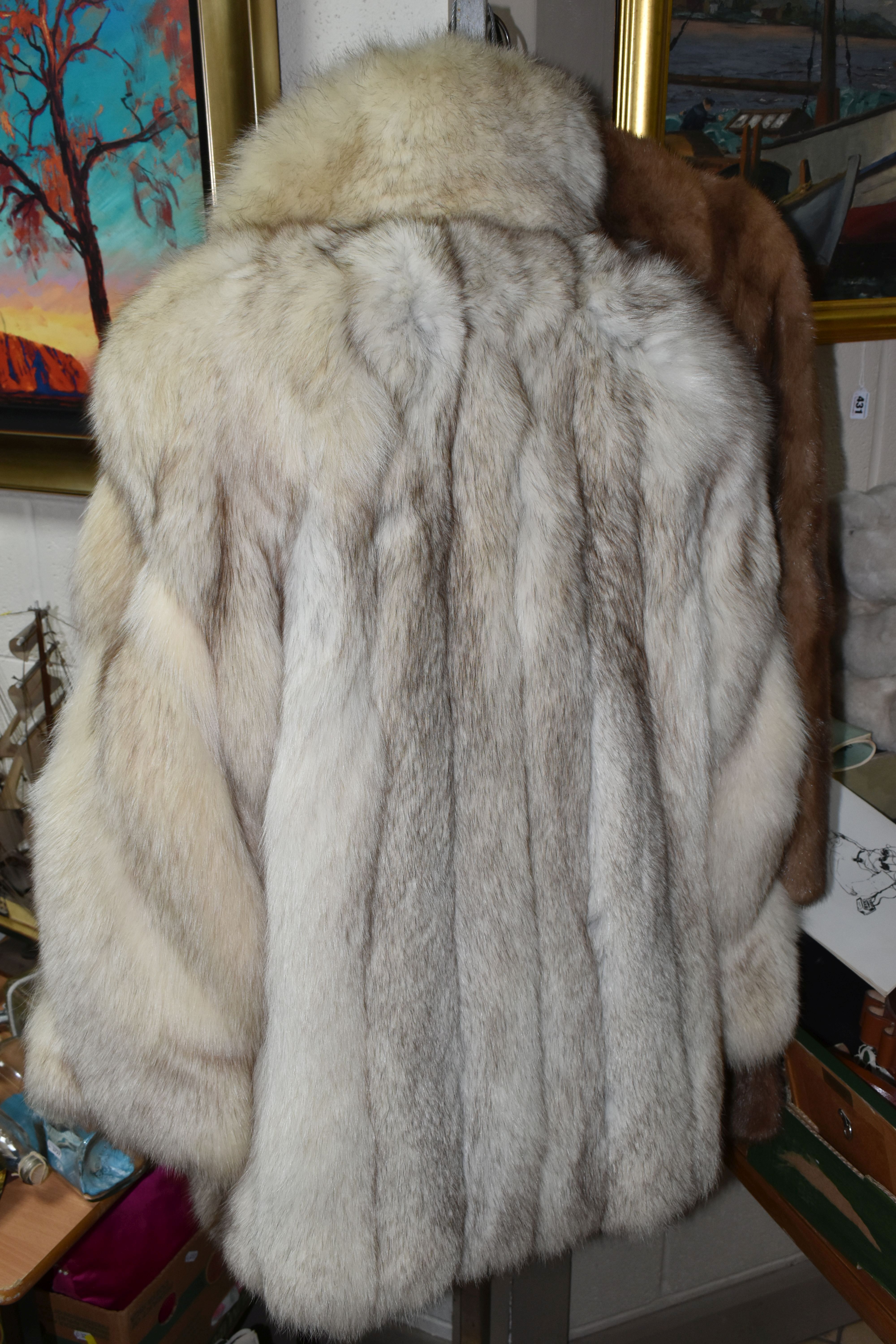 TWO LADIES FUR JACKETS, comprising an Arctic Fox fur made by Dominion Furs- Edinburgh, approximate - Image 2 of 4