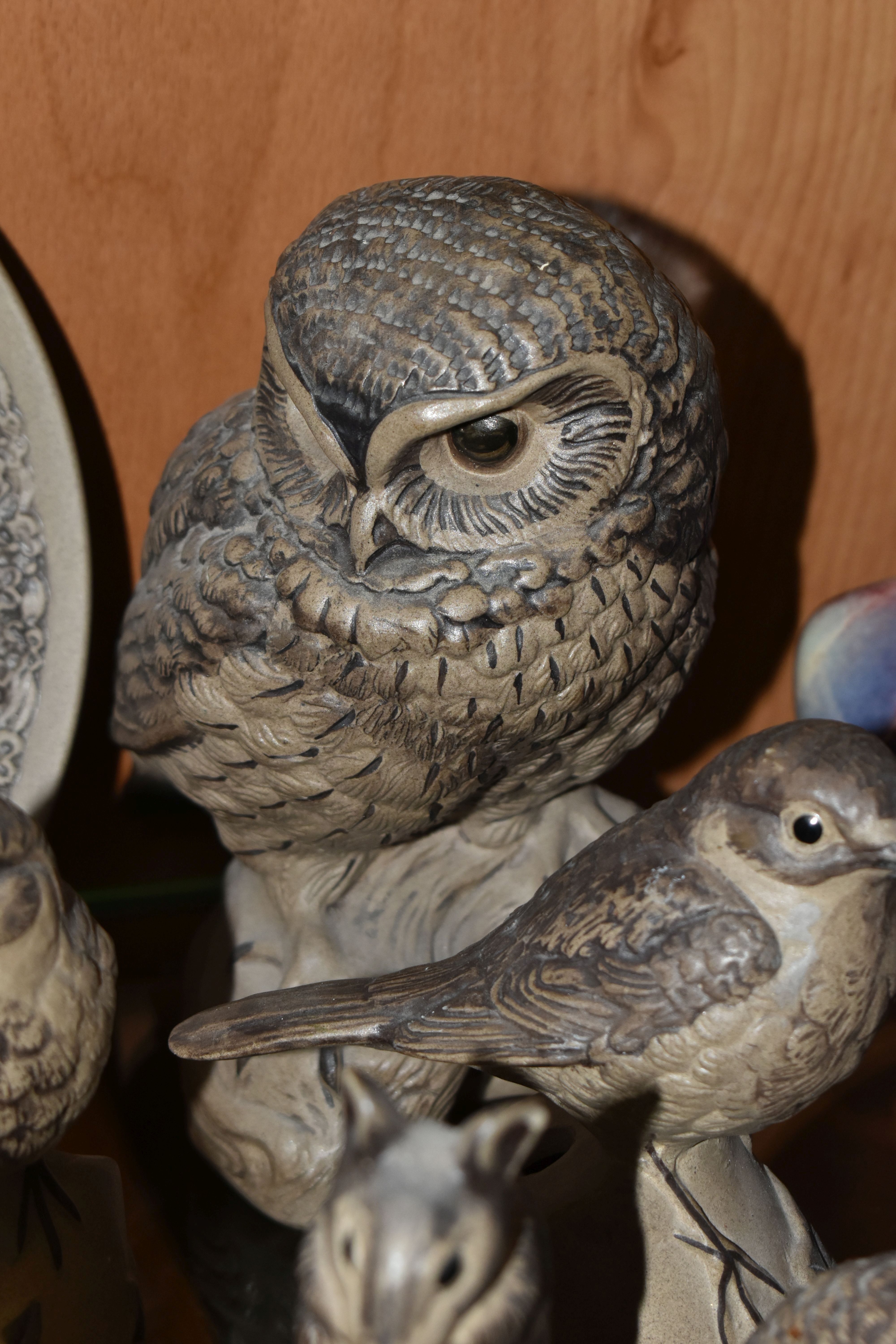 A COLLECTION OF POOLE POTTERY STONEWARE BIRDS AND ANIMALS, to include figures of owls, wrens, - Image 5 of 9