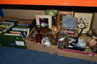 FOUR BOXES AND A LOOSE QUANTITY OF MISCELLANEOUS SUNDRIES to include a variety of travel books,