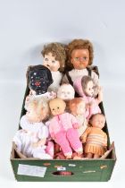 A COLLECTION OF MID 20TH CENTURY PEDIGREE HARD PLASTIC AND VINYL DOLLS, assorted types and sizes,