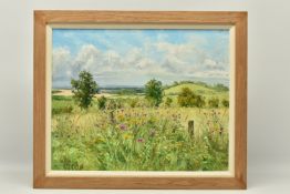 BRIAN BENNETT (BRITISH 1927-2022) WILD FLOWERS IN AN ENGLISH LANDSCAPE, signed bottom left, signed