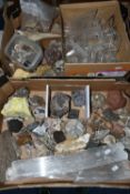 A LARGE ASSORTMENT OF MINERAL SPECIMENS, to include two large selenite specimens, fluorite,