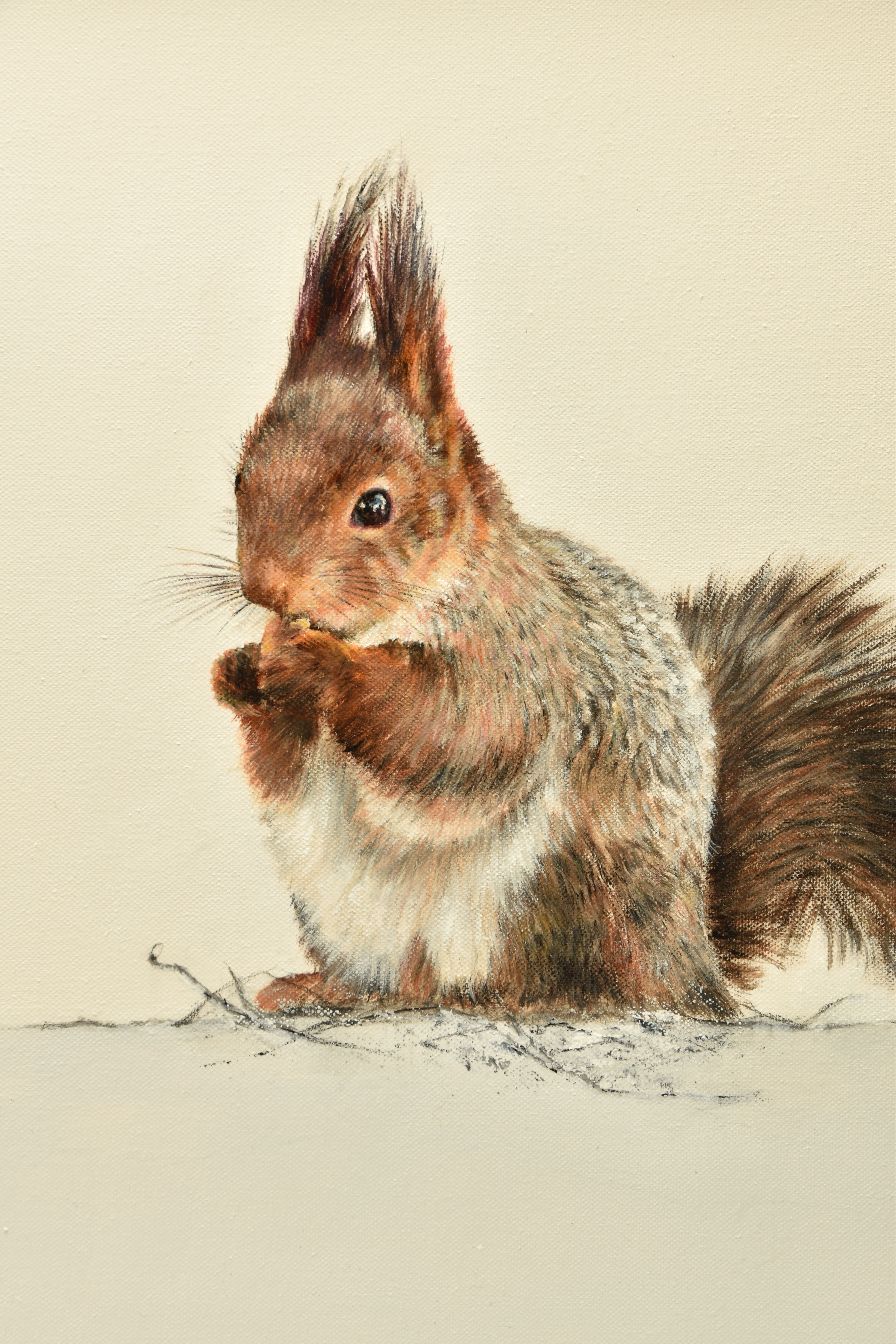 VICKY PALMER (BRITISH CONTEMPORARY) 'BUSY', a portrait of a Grey Squirrel in winter, initialled - Image 2 of 8