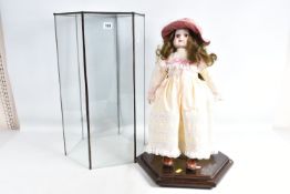 A CASED TACHIN BISQUE HEAD DOLL, marked TACHIN to nape of neck, fixed eyes with painted lashes,